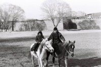 /album/%e7%b6%b2%e8%b7%af%e7%9b%b8%e7%b0%bf%3a-%e9%a6%96%e9%a0%812/a1970484-812698938757132-881646248-n-jpg/